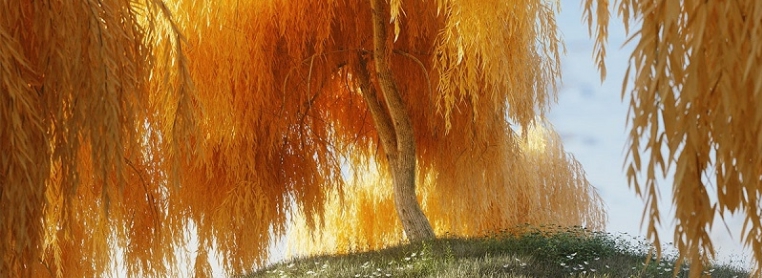 Blender自然环境植物石头预设Bagapie Assets v2.66