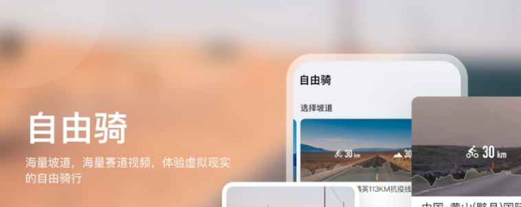 飞赛电脑版 v1.7