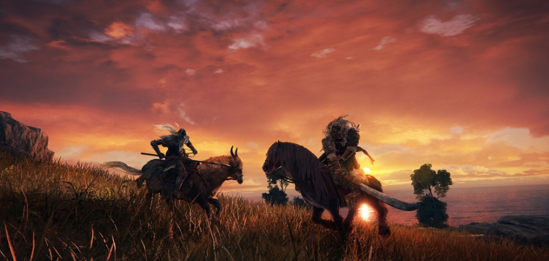 艾尔登法环乌木浪人套装MOD v2.73