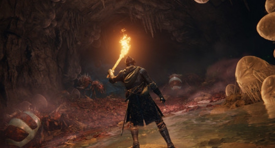 艾尔登法环忍者龙剑传无想新月棍替换骑士双头剑MOD v1.12