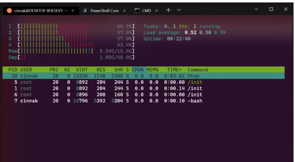 Windows Terminal v1.12.10982.5