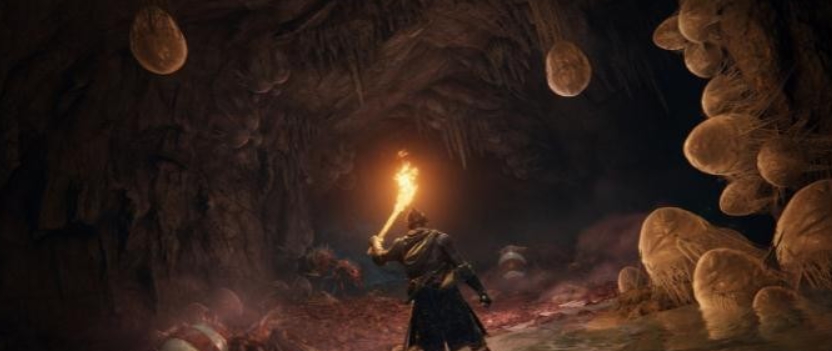 艾尔登法环黑暗之魂银骑士长枪取代长矛MOD v1.29