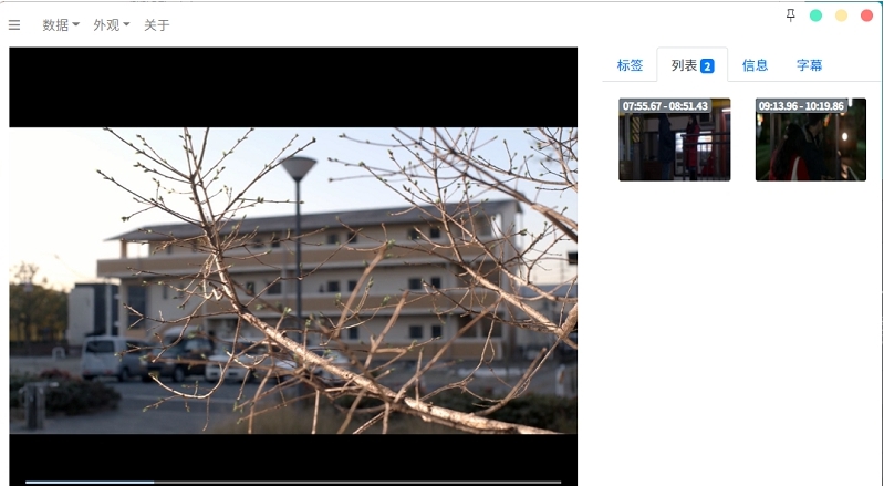 VideoManager v1.2.8