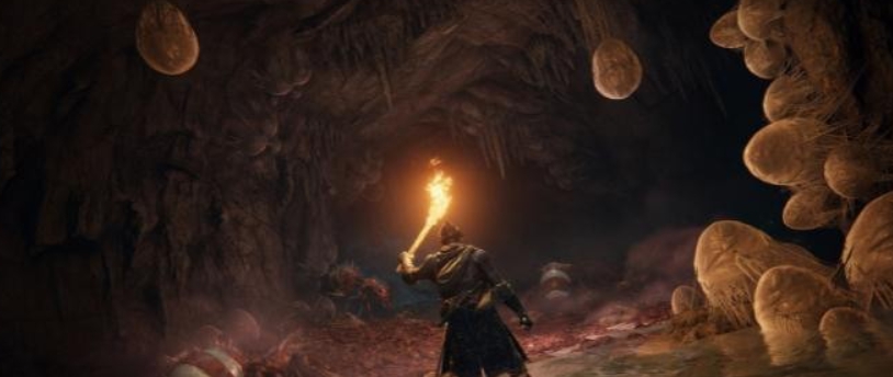 艾尔登法环怪物猎人搖曳鳗头套替换骑士头盔MOD v2.63