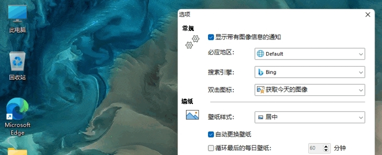 BingSnap32位/64位绿色中文版 v2.45