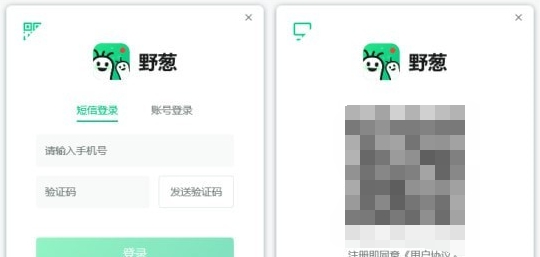 野葱 v1.1.1069.251