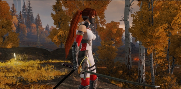 艾尔登法环DOA女忍者霞替换女王套装MOD v3.70