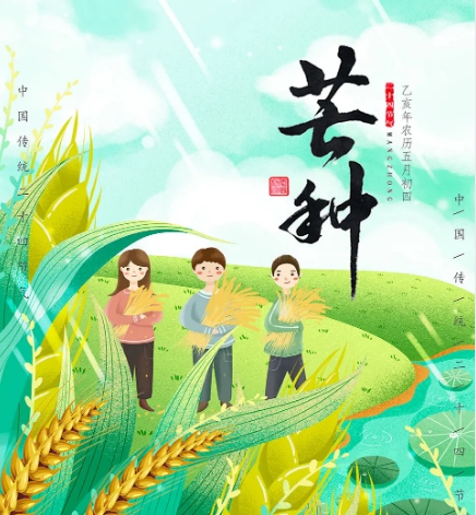 芒种节气宣传海报图片素材 v1.6