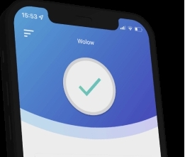 Wolow电脑伴侣 v16.0.31206.179