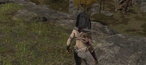 艾尔登法环美莲娜替换观布质上衣MOD v1.27