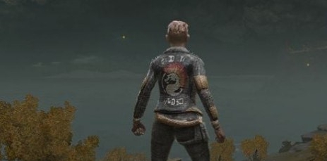 艾尔登法环凯西替换观布质上衣MOD v1.50