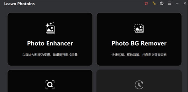 leawo photoins ai v2.93