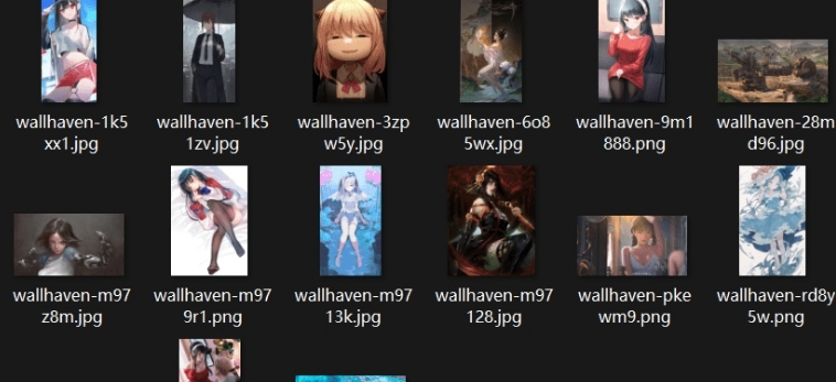 Wallhaven壁纸下载工具 v1.7