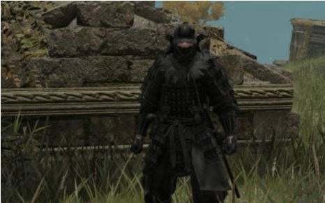 艾尔登法环黑暗武士版芦苇之地铠甲MOD v3.26