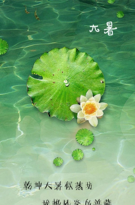 大暑节气高清图片素材 v1.6