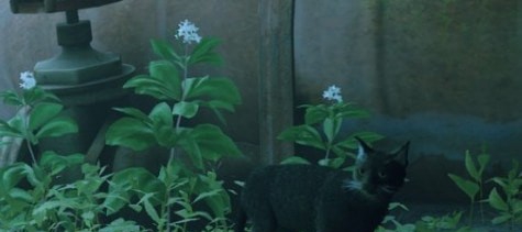 迷失高冷白胡子黑猫MOD v2.55