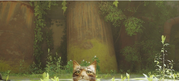 Stray棕毛猫MOD v1.31