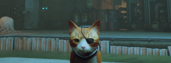 迷失Stray狂野猫猫眼罩MOD v1.93