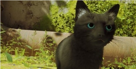 迷失Stray蓝瞳黑胡黑猫MOD v1.56