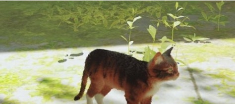 迷失Stray白颊棕色虎斑猫MOD v3.5