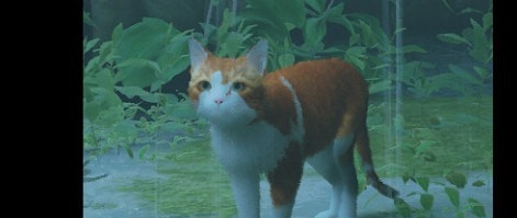 迷失Stray橘猫安东尼奥MOD v3.24