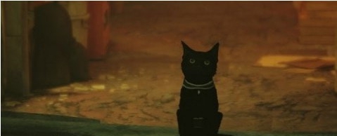 迷失Stray黑猫寿司MOD v3.36