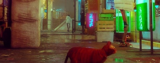 迷失Stray背包和机器人隐藏MOD v2.84