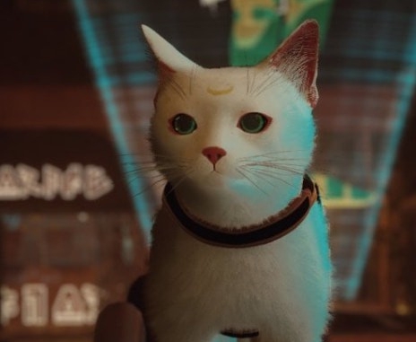 迷失Stray美少女战士月野兔猫MOD v2.82