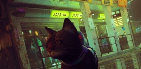 迷失Stray自由缅因浣熊猫MOD v1.18