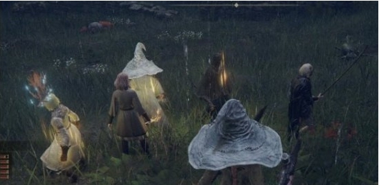 艾尔登法环与五位美人同行MOD v2.5