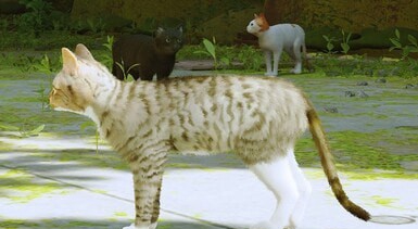 迷失Stray白手套虎斑猫MOD v3.77
