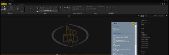 ProDAD Mercalli v2.11