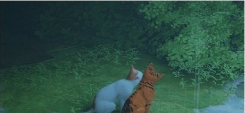 迷失Stray玩家纪念猫咪WalleeMOD v1.73