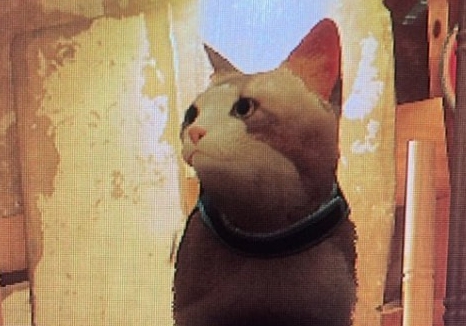 迷失Stray精致可爱布偶猫MOD v3.69