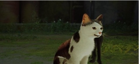 迷失Stray凶狠狸花猫PolluxMOD v1.48