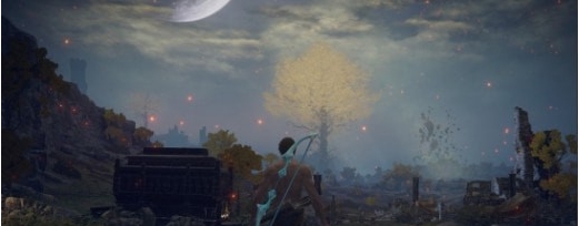 艾尔登法环艾什之弓MOD v1.81