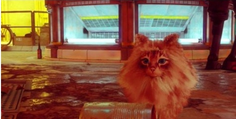 迷失Stray毛发旺盛的狮子猫猫MOD v1.73