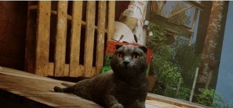 迷失Stray苏格兰折耳猫替换所有猫MOD v2.60