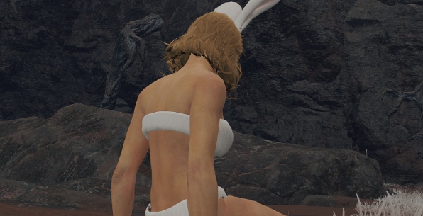 艾尔登法环DOA漂亮的兔宝宝泳装MOD v3.59