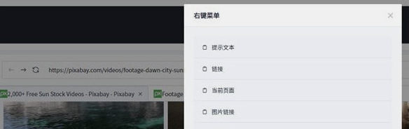 mSearch(网页多开下载软件) v1.0.6