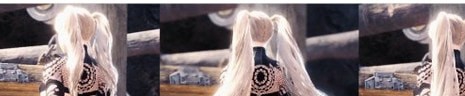 怪物猎人世界冰原三款长度双马尾MOD v2.66