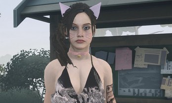 师父克莱尔的猫主题皮肤MOD v3.33