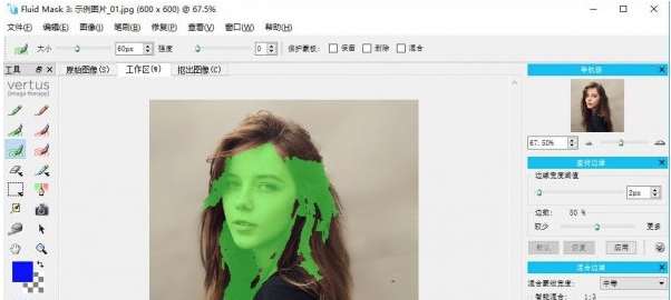 Vertus Fluid Mask v2.67