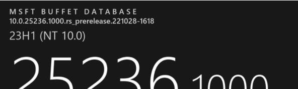 25236.1000补丁 v25236.1003
