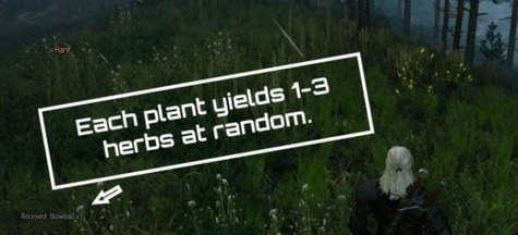 巫师3次世代版增强草药MOD v1.61