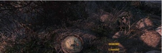 辐射4废土炼金新植物和配方MOD v1.55