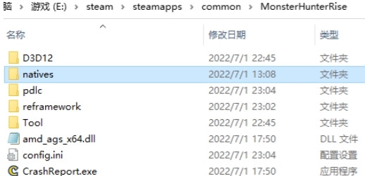 怪物猎人崛起FirstNatives支持工具 v2.2