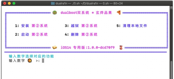 dualra1n v1.1