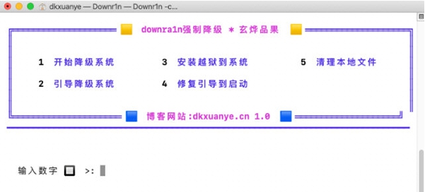 downr1n v2027
