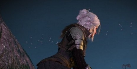 巫师3次世代版希里熊学派服装MOD v2.14